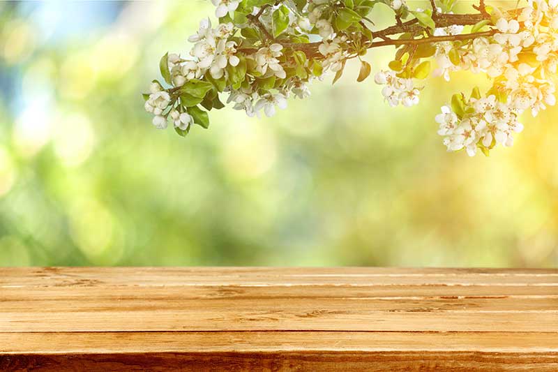Le printemps du PCB